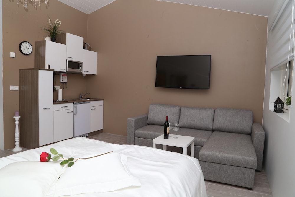 Studio, 1 Queen Bed with Sofa bed