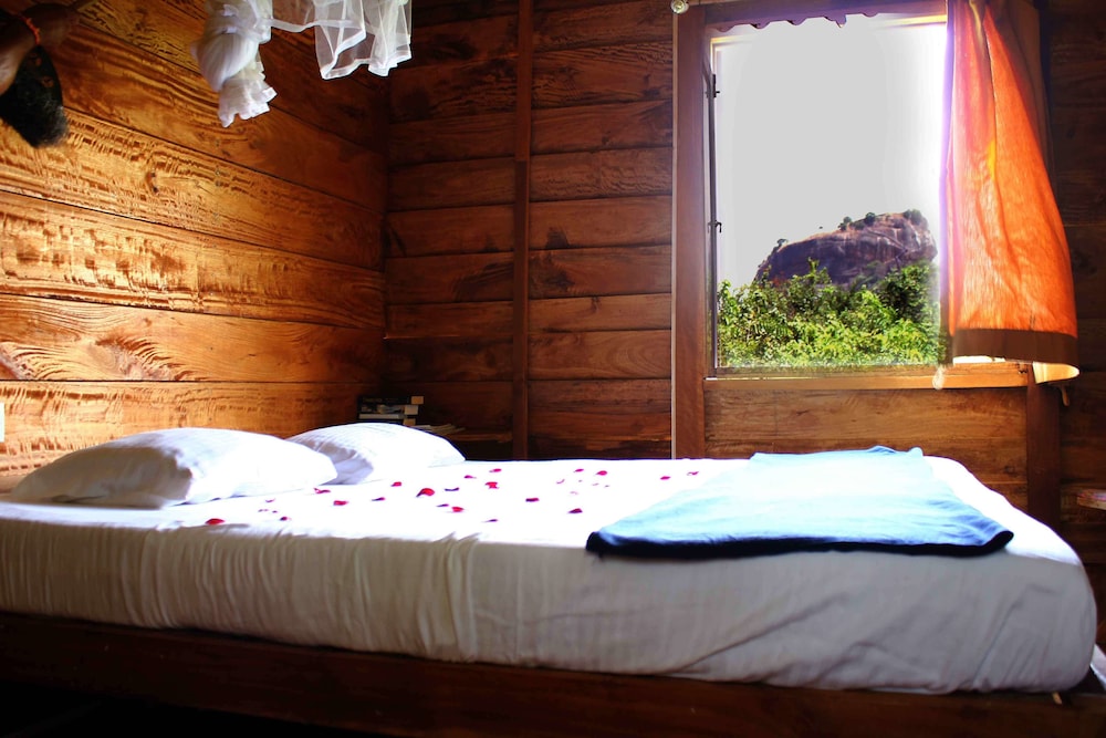 Standard Tree House photo 3