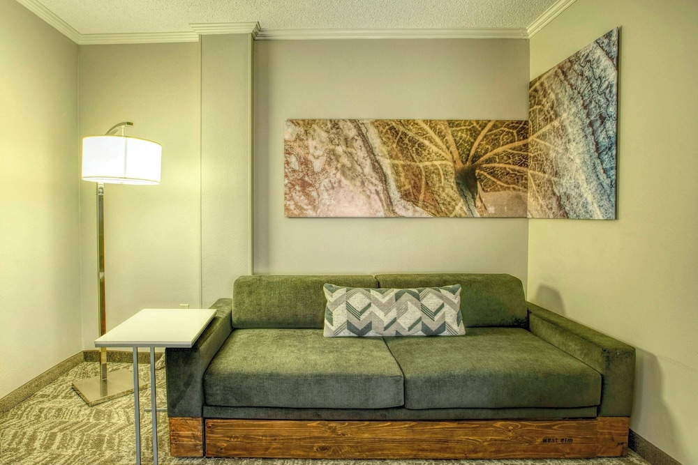 Suite, 1 King Bed - Photo 2