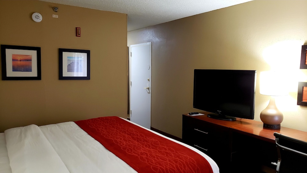 Standard Room, 1 King Bed, Non Smoking (Accessible) photo 3