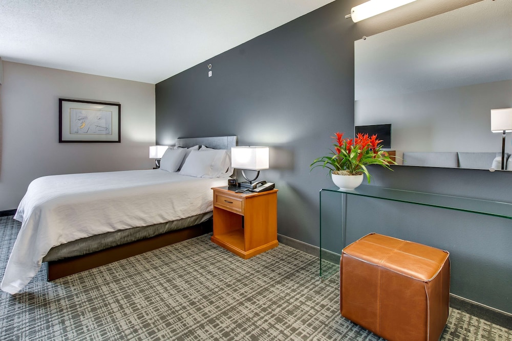 Deluxe Room, 1 King Bed, Non Smoking - Photo 2