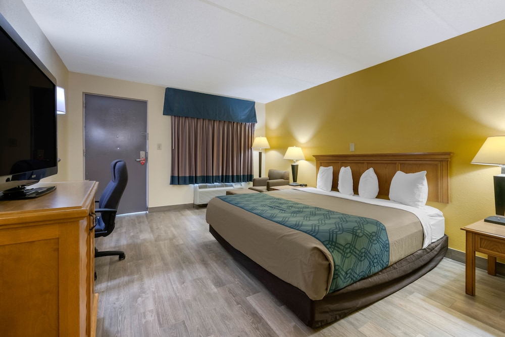 Room, 1 King Bed, Accessible, Non Smoking (Roll In Shower) - Photo 1
