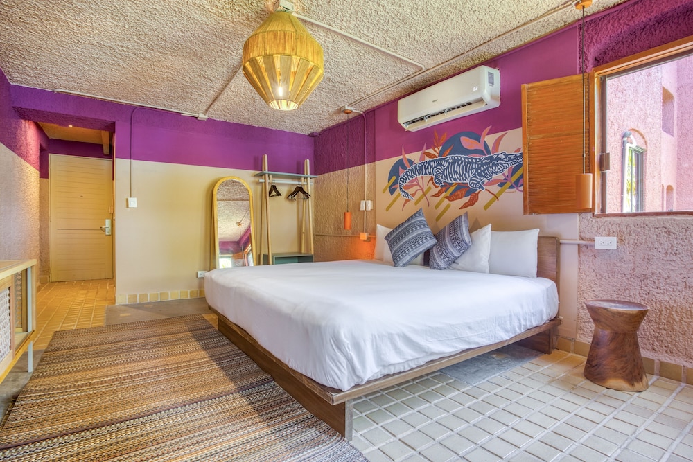 Suite - Photo 1