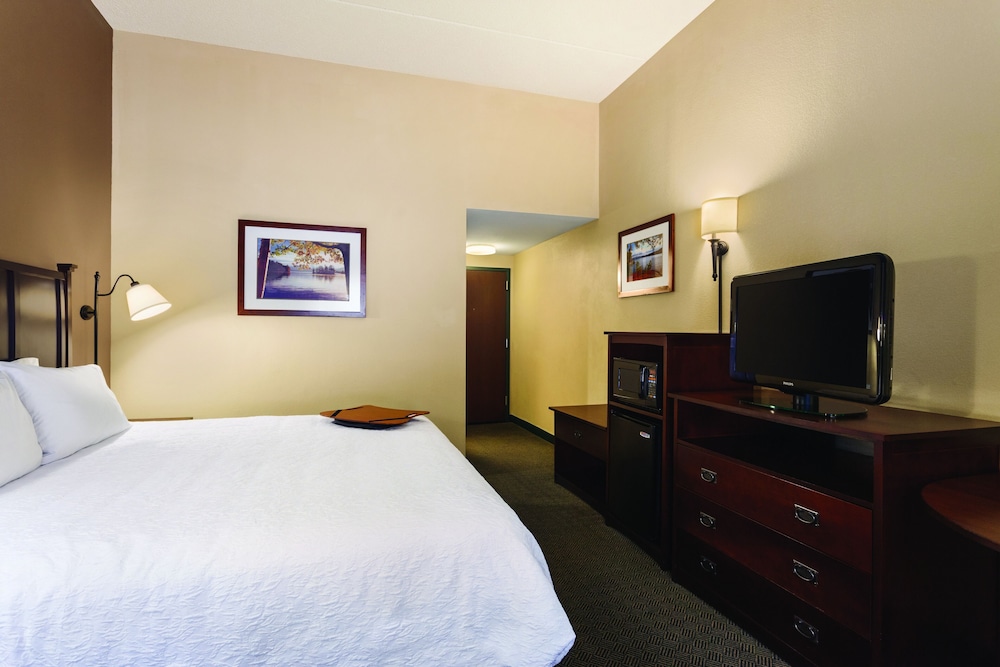 Room, 1 King Bed, Non Smoking (Study)