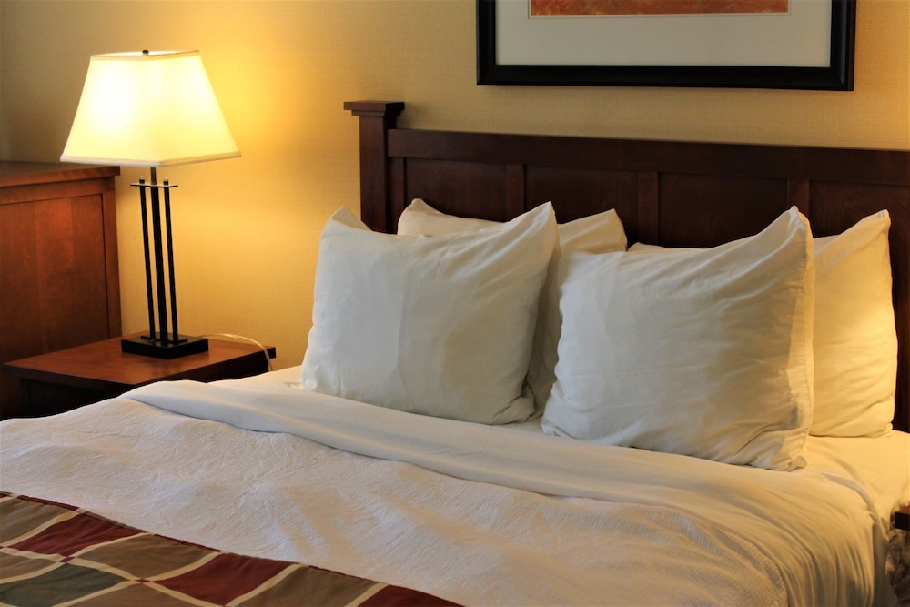 Basic 1 Queen Bed  Suite - Main building photo 1