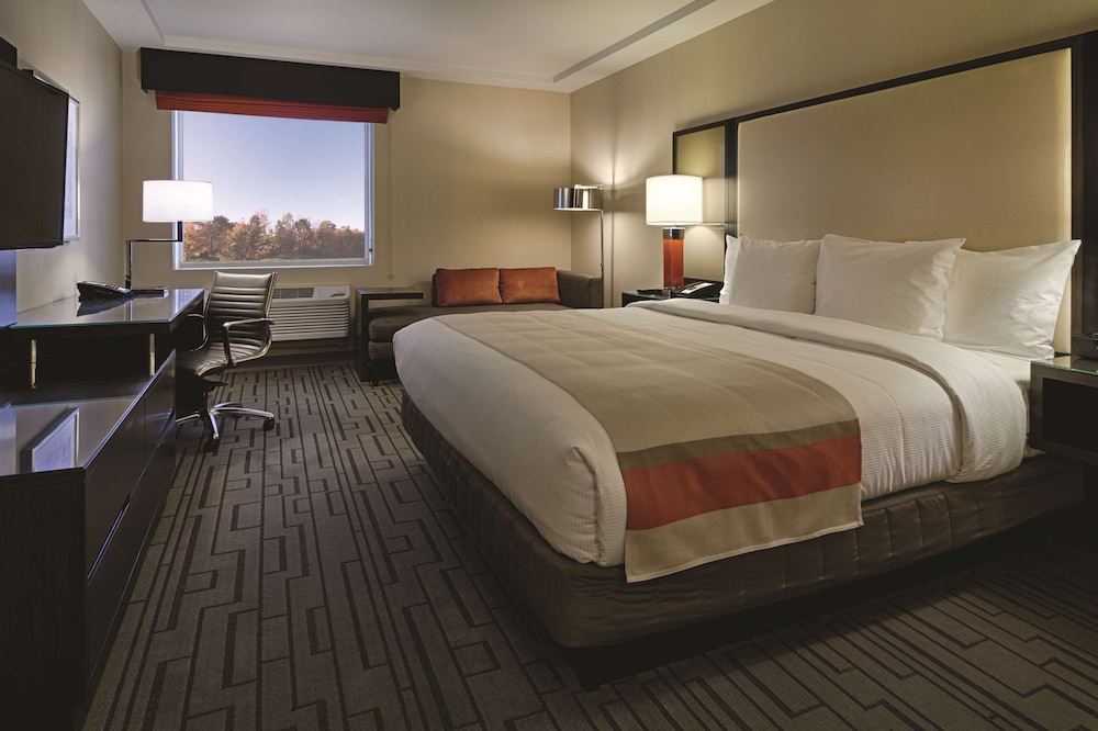 Room, 1 King Bed photo 1