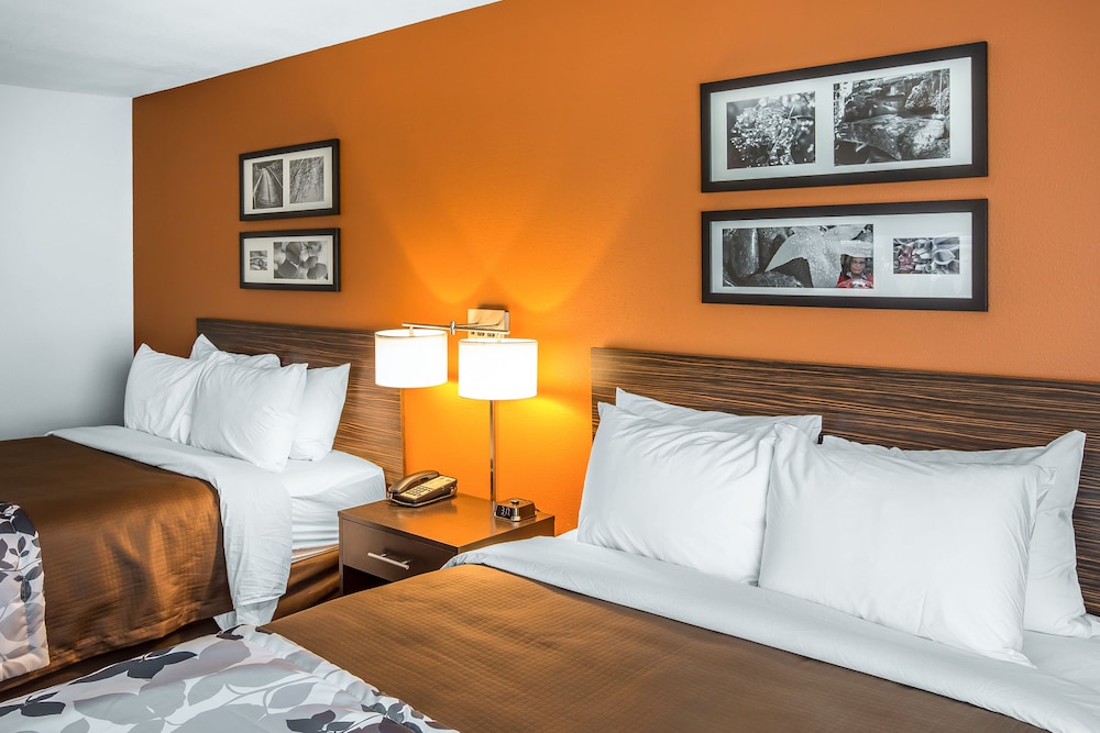 Room, 2 Queen Beds, Accessible, Non Smoking photo 2