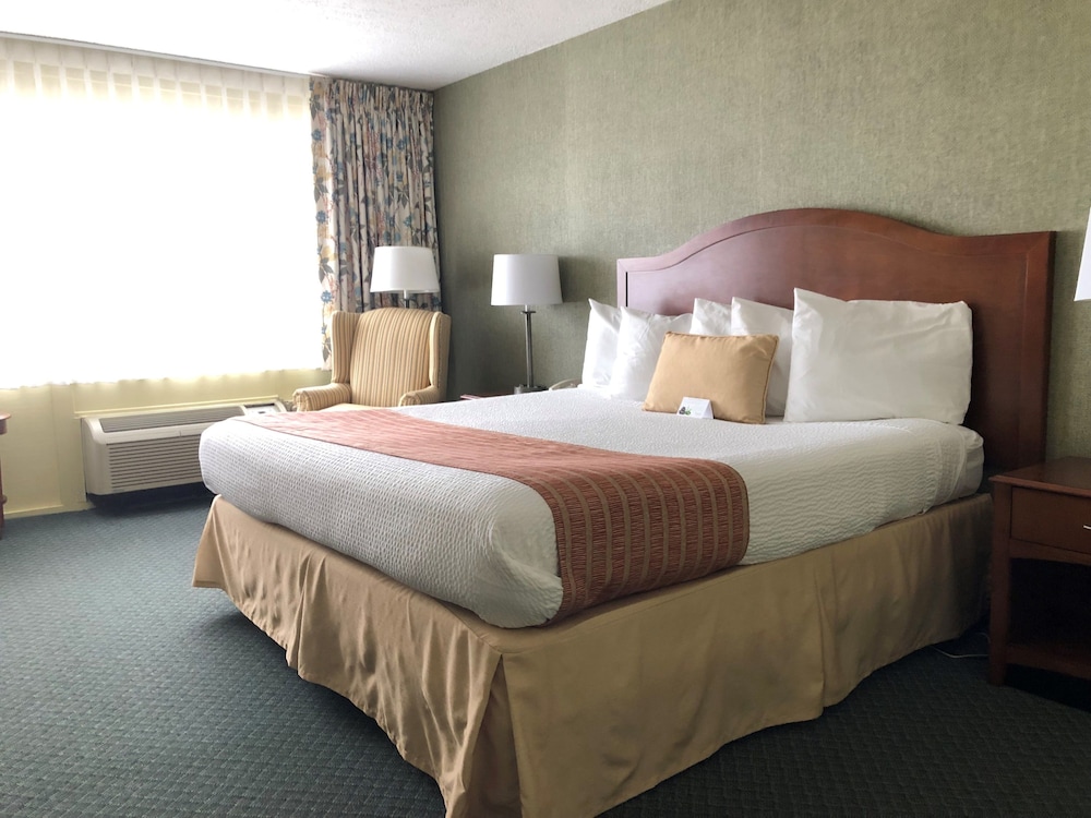 Superior Room, 1 King Bed, Non Smoking, Bay View