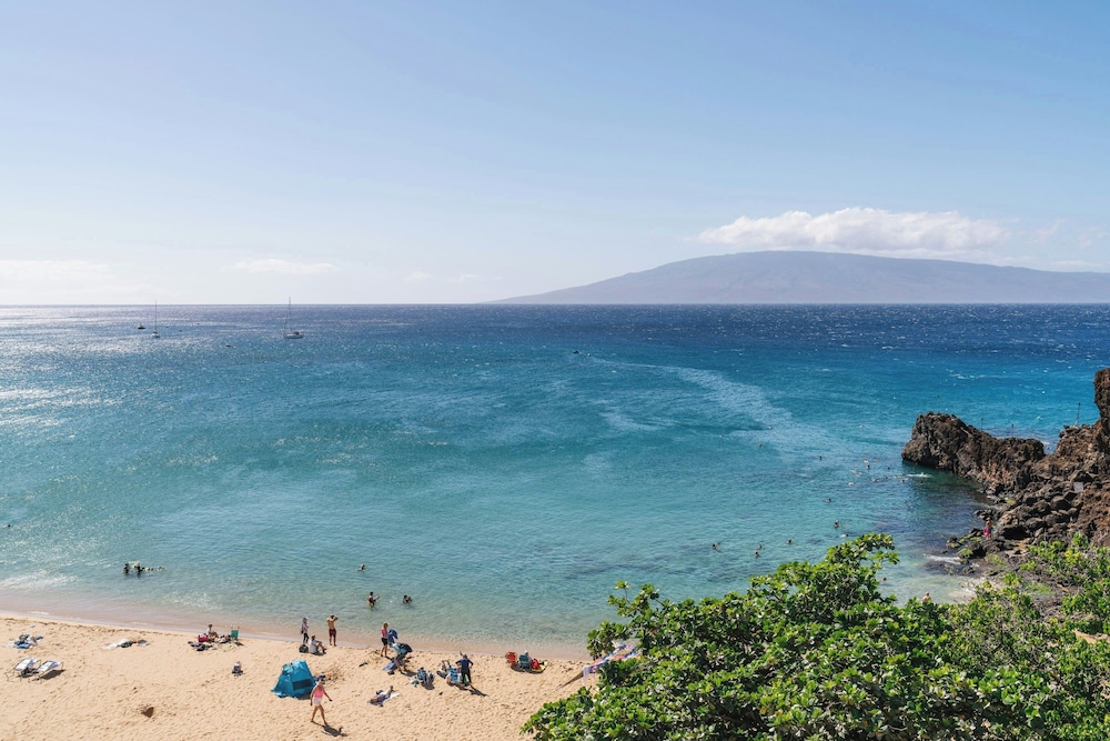 Suite, 1 Bedroom, Ocean View (beachfront)