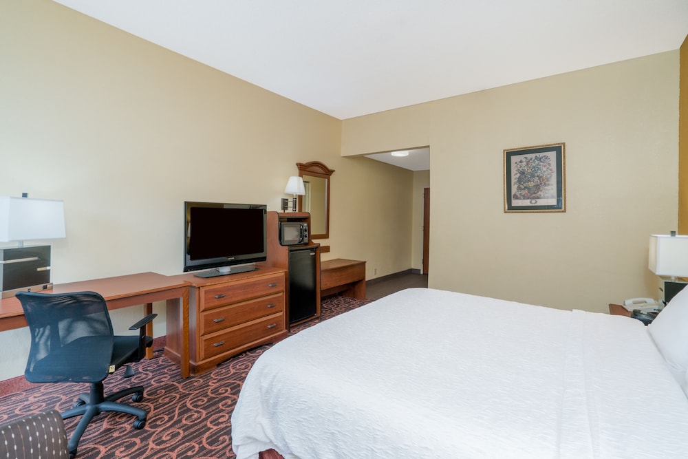 Room, 1 King Bed photo 2