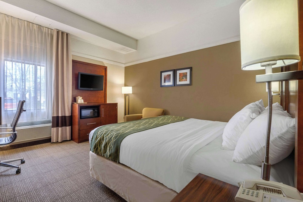 Standard Room, 1 King Bed, Non Smoking - Photo 3