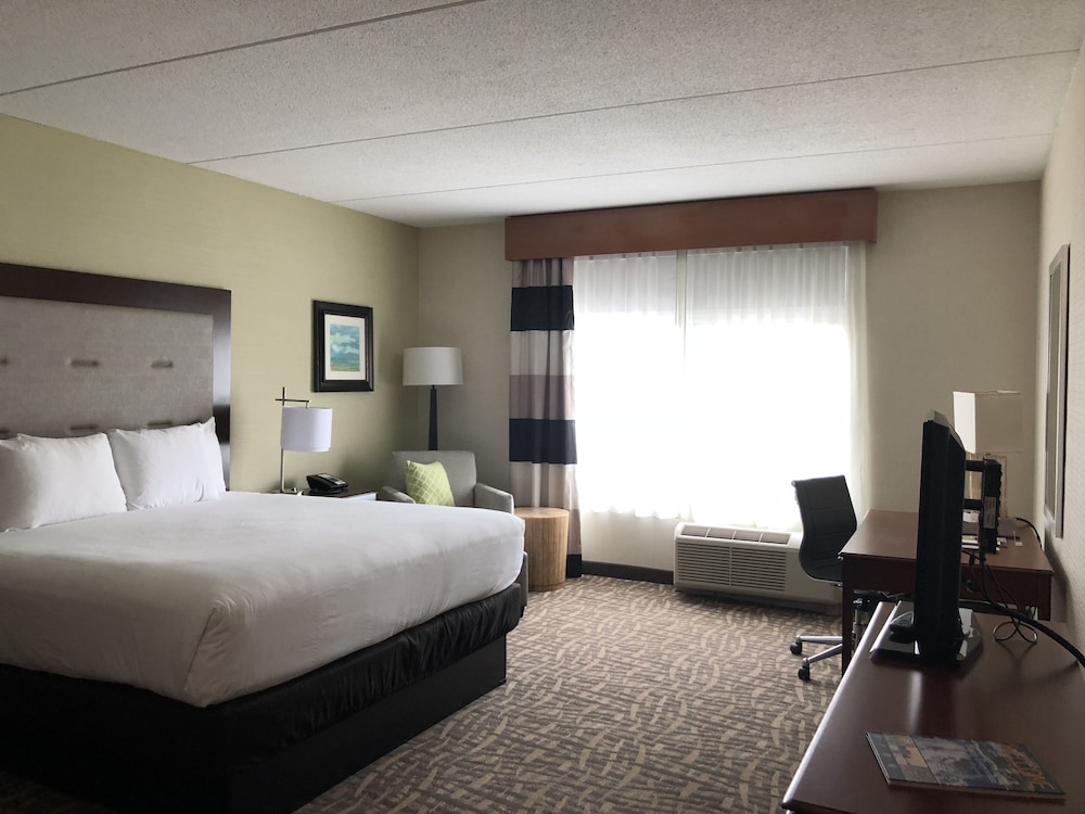 Deluxe Room, 1 King Bed, Accessible, Non Smoking - Photo 2