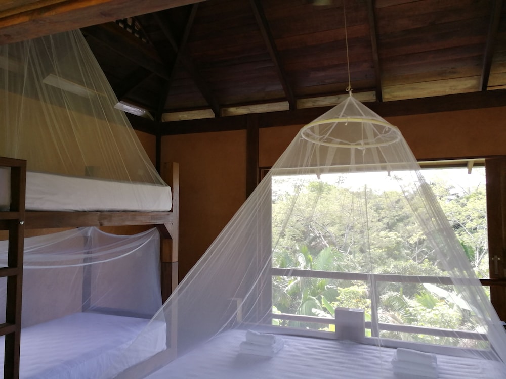 Shared Dormitory, Women only, Mountain View (4 Beds) photo 2
