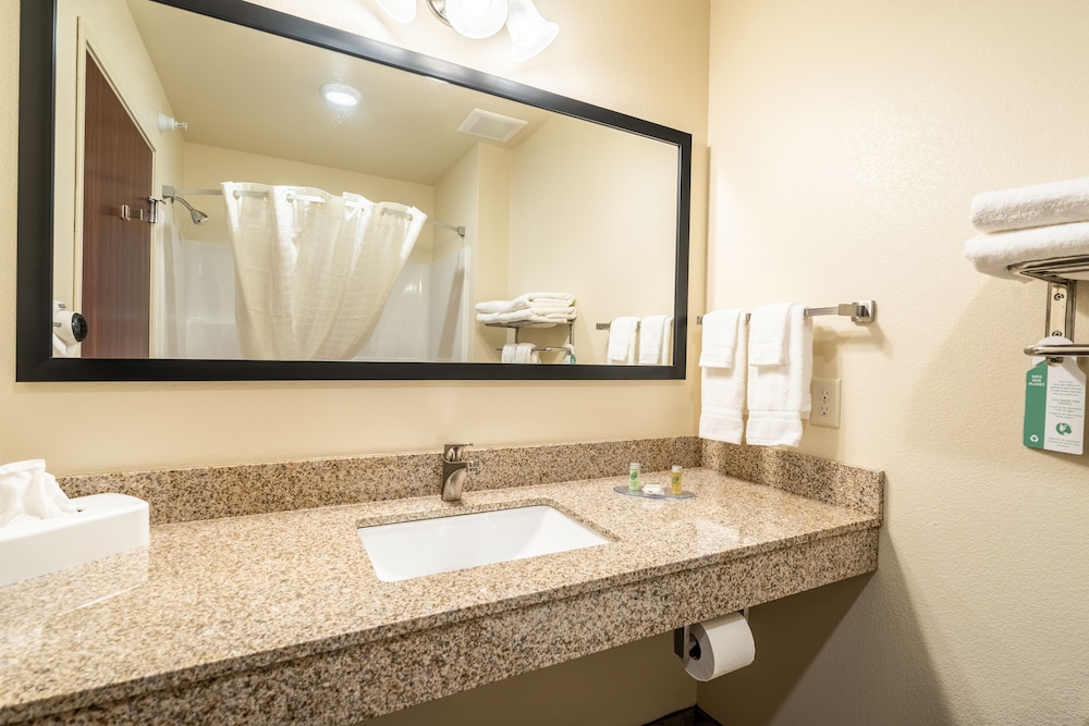 Studio Suite, Multiple Beds, Non Smoking (Audible/Visual) - Photo 7