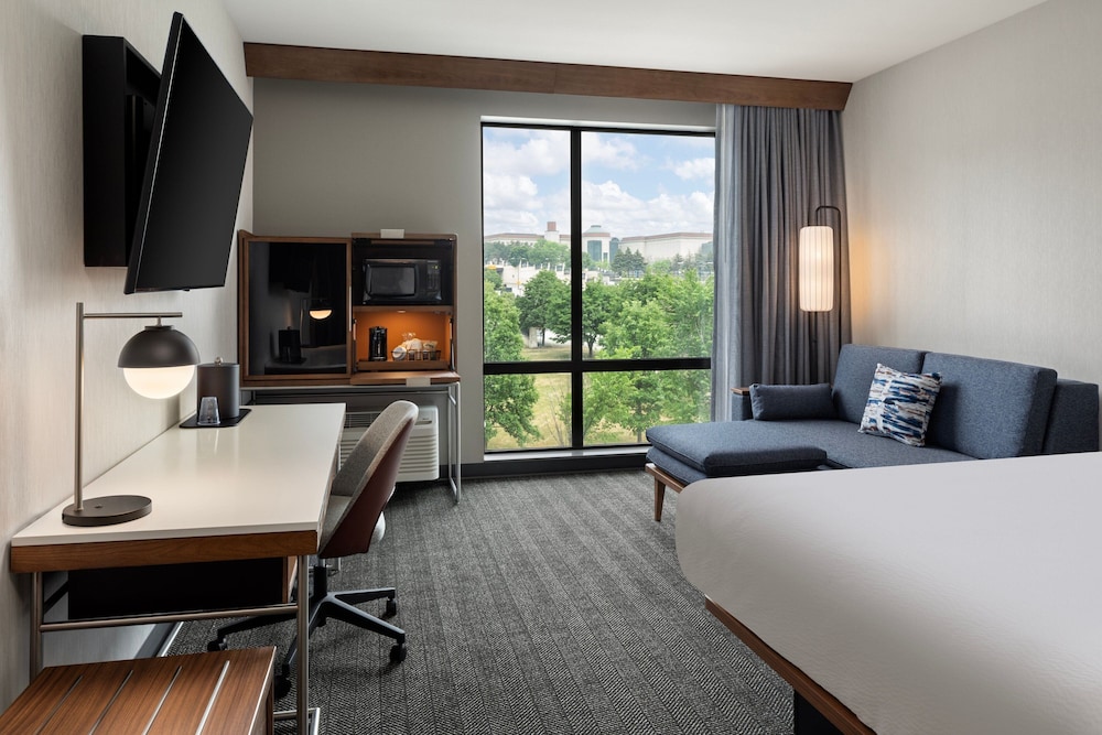 Standard Room, 1 King Bed with Sofa bed (Mobility Accessible, Tub)