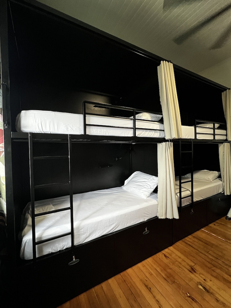 Shared Dormitory photo 3