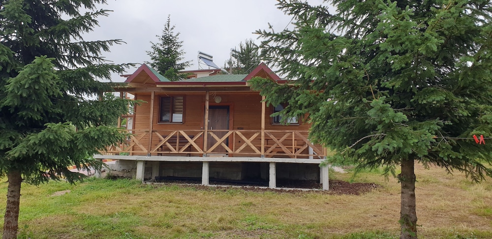 Elite Tree House photo 3