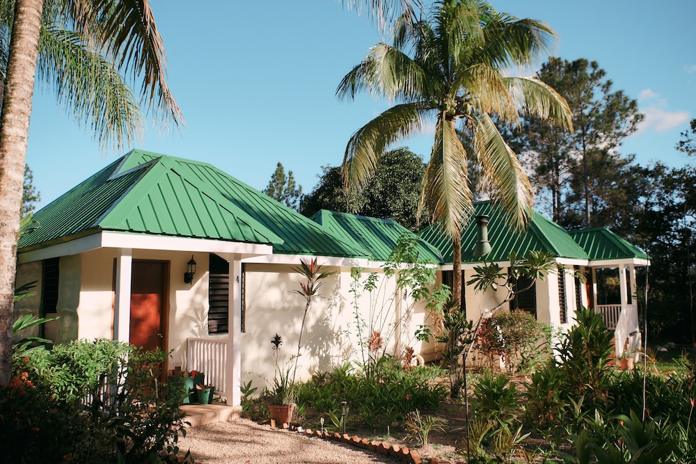 Garden Cottage - Photo 6