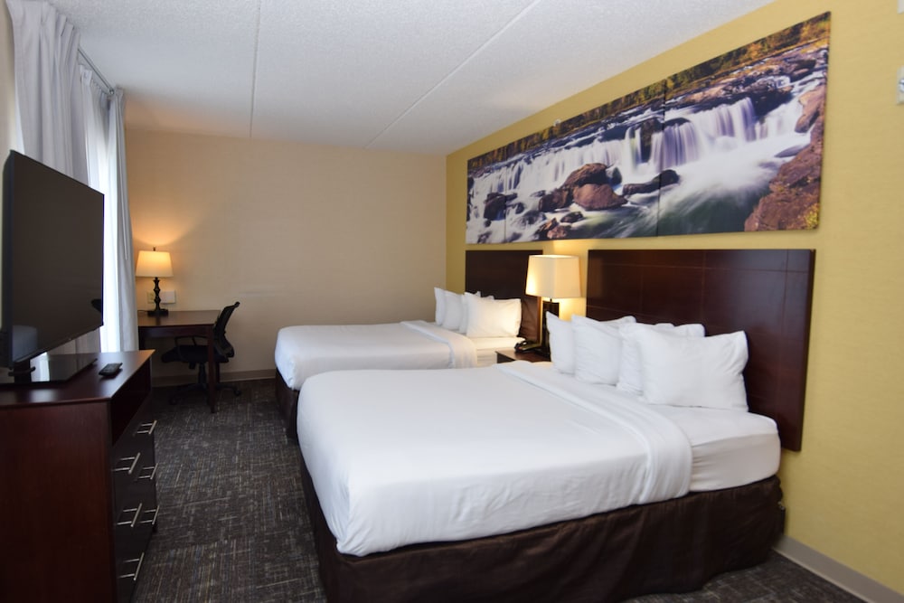 Standard Suite, Accessible Bathtub, Refrigerator & Microwave