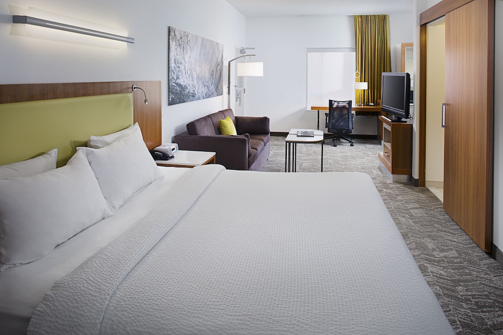 Studio Suite, 1 King Bed (Mobility/Hearing Access, Roll-In Shwr) photo 1
