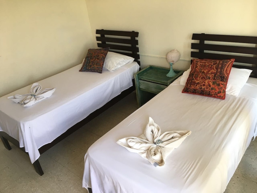 Twin Room, City View (Shared Bathroom) photo 1
