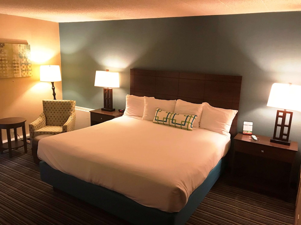 Suite, 1 King Bed, Non Smoking, Refrigerator (with Sofabed) - Photo 1