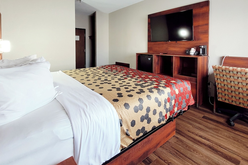 Standard Room, 1 King Bed, Non Smoking - Photo 1