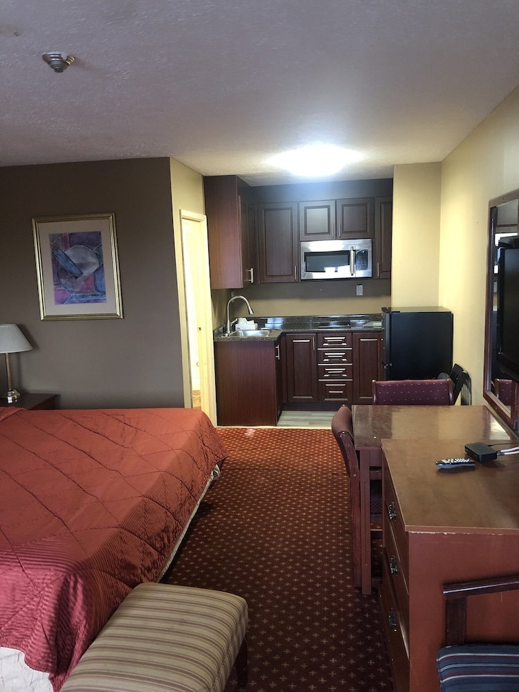Classic Studio, 1 Bedroom photo 1