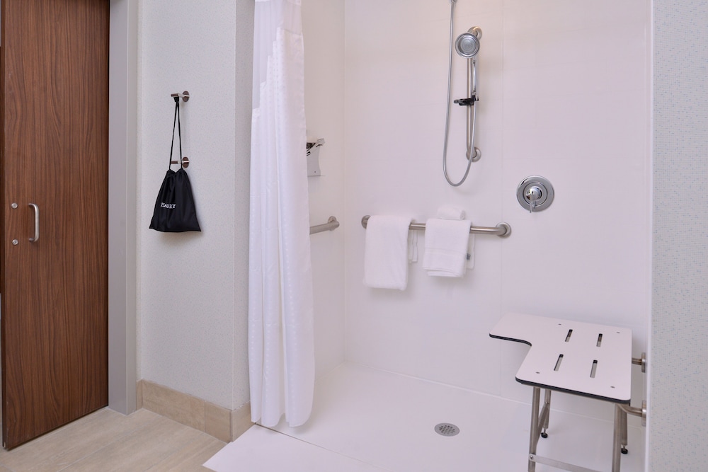Standard Room, 1 King Bed, Accessible (Communications, Roll-In Shower) - Photo 8