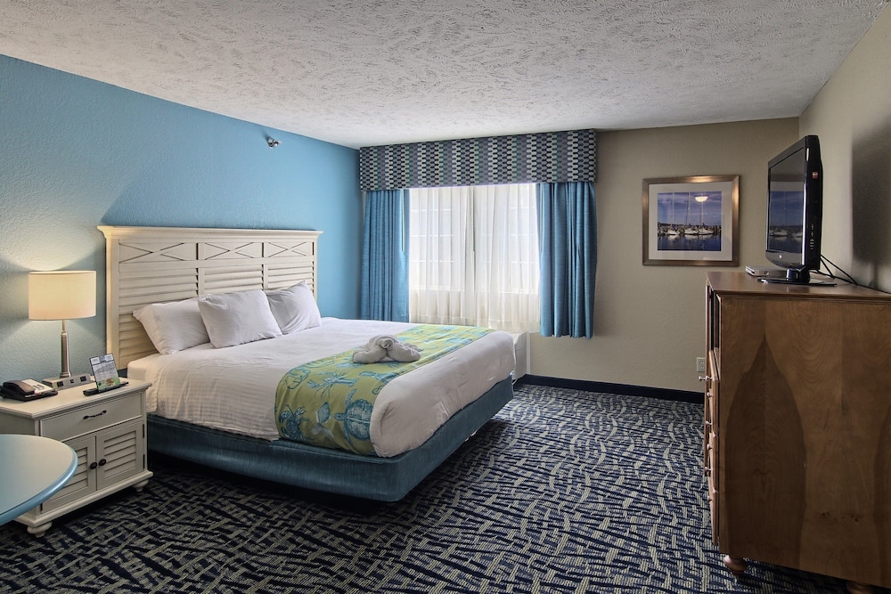 Basic Suite, 2 Bedrooms - No View