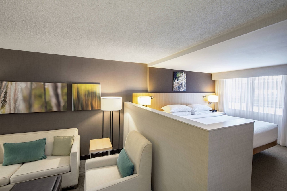 Room, 1 King Bed with Sofa bed
