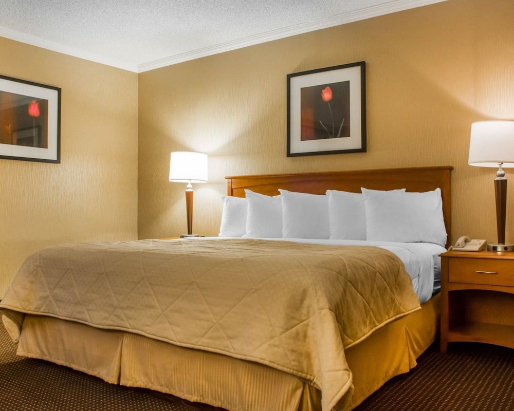 Efficiency, Suite, 1 King Bed with Sofa bed, Non Smoking, photo 6