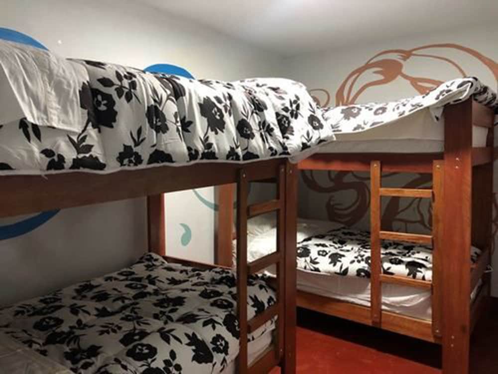 Shared Dormitory, Mixed Dorm (8 PAX) photo 1