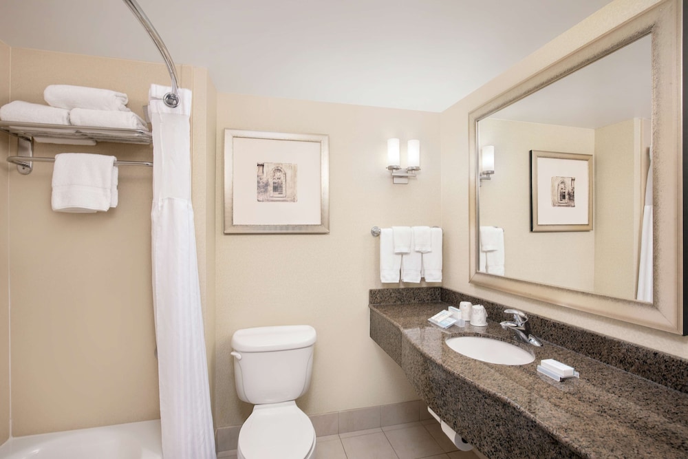 Suite, 1 King Bed, Accessible - Photo 5