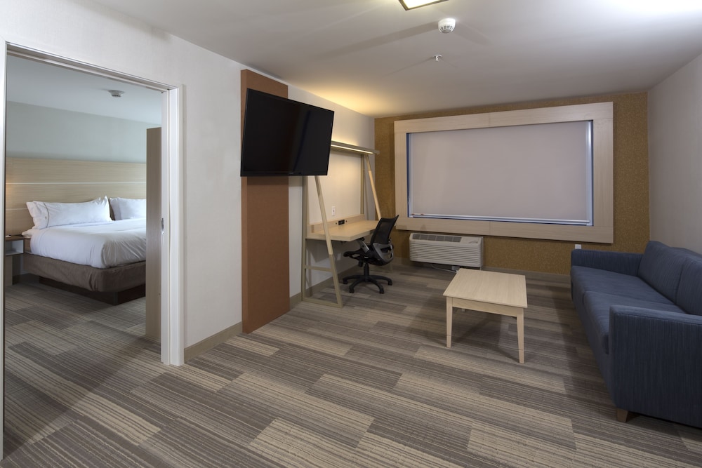 Suite, 1 King Bed photo 3