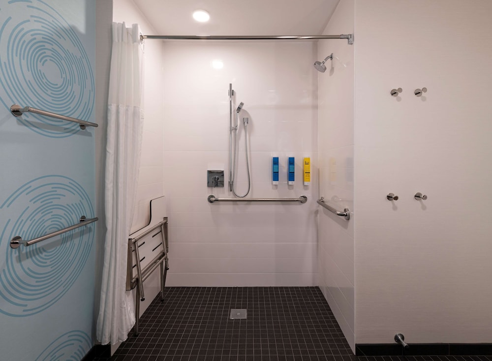 Room, 1 King Bed, Accessible (Roll-In Shower) - Photo 5