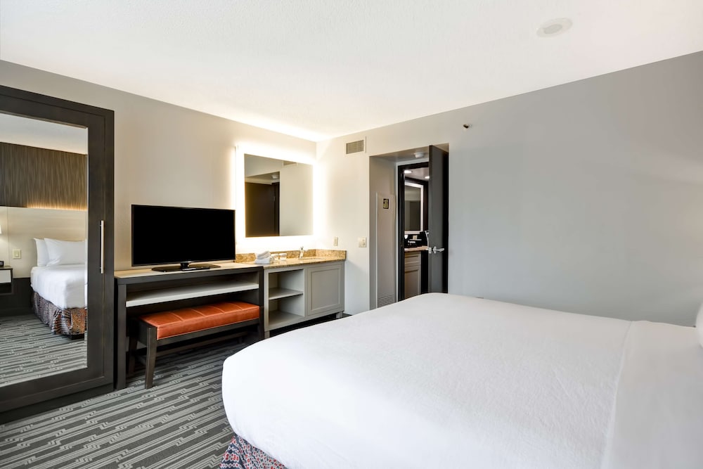 Room, 1 King Bed, Non Smoking photo 2
