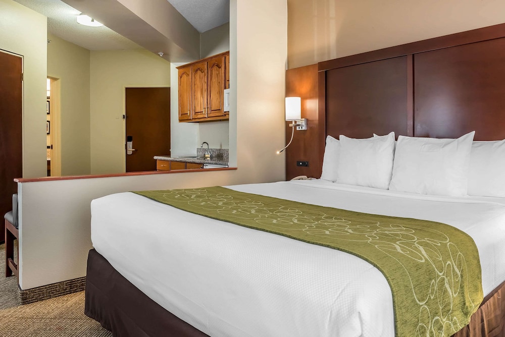 Suite, 1 King Bed, Non Smoking - Photo 34