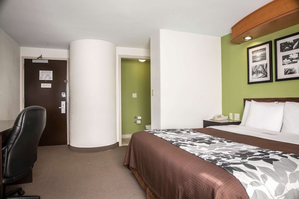 Standard Room, 1 King Bed, Non Smoking photo 2
