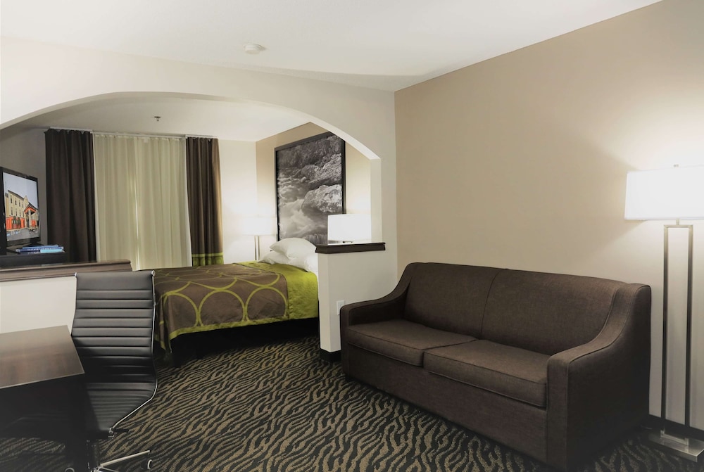 Standard Room, 1 King Bed with Sleeper Sofa, Non Smoking photo 2