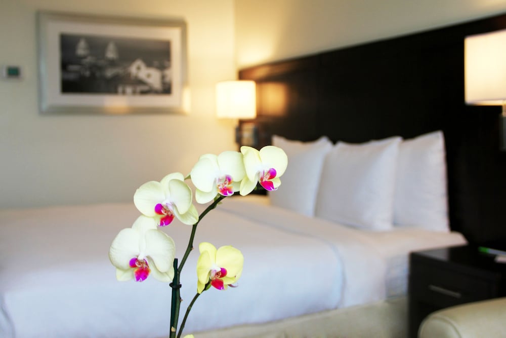 Standard Room, 1 King Bed, City View - Photo 2