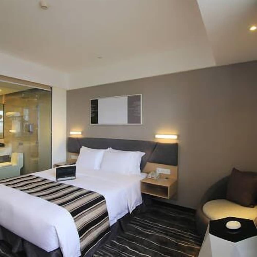 Comfort Single Room