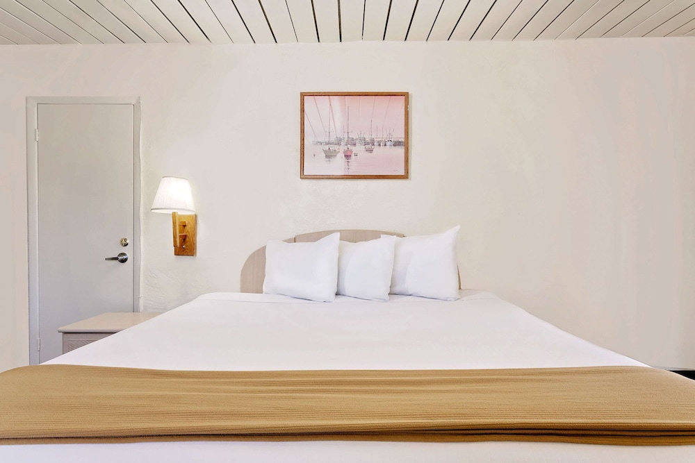 Room, 1 King Bed - Photo 1