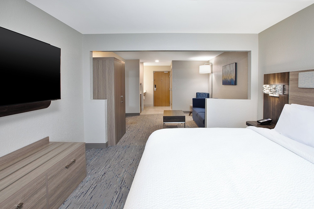 Suite, 1 King Bed - Photo 1