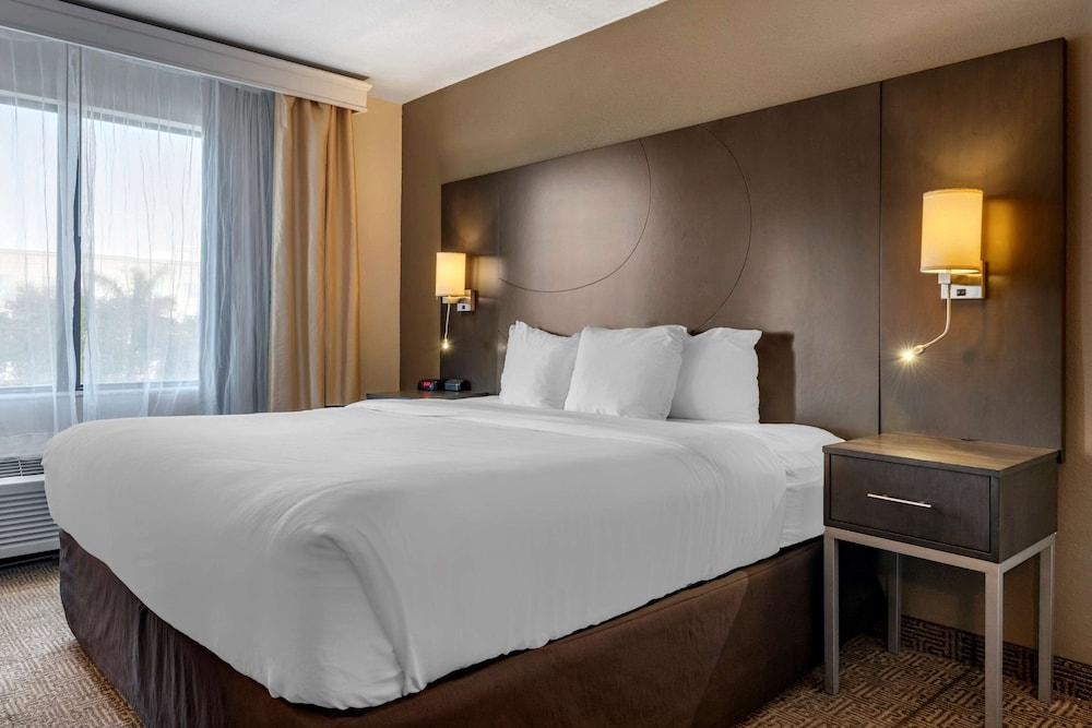 Suite - Photo 1