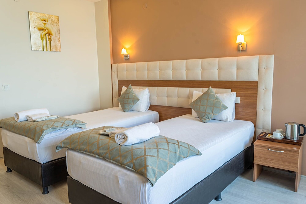 Deluxe Double or Twin Room photo 2