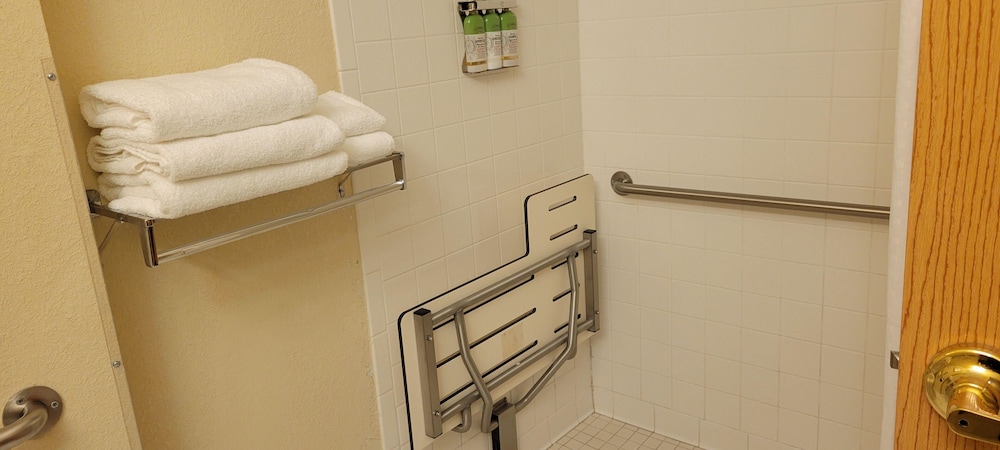 King Wheel Chair Accessible Roll In Shower photo 3