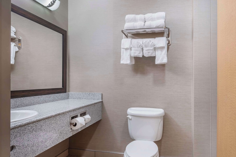 Suite, 1 King Bed, Mobility and Hearing Accessible, In-Room Whirlpool, Non Smoking photo 3