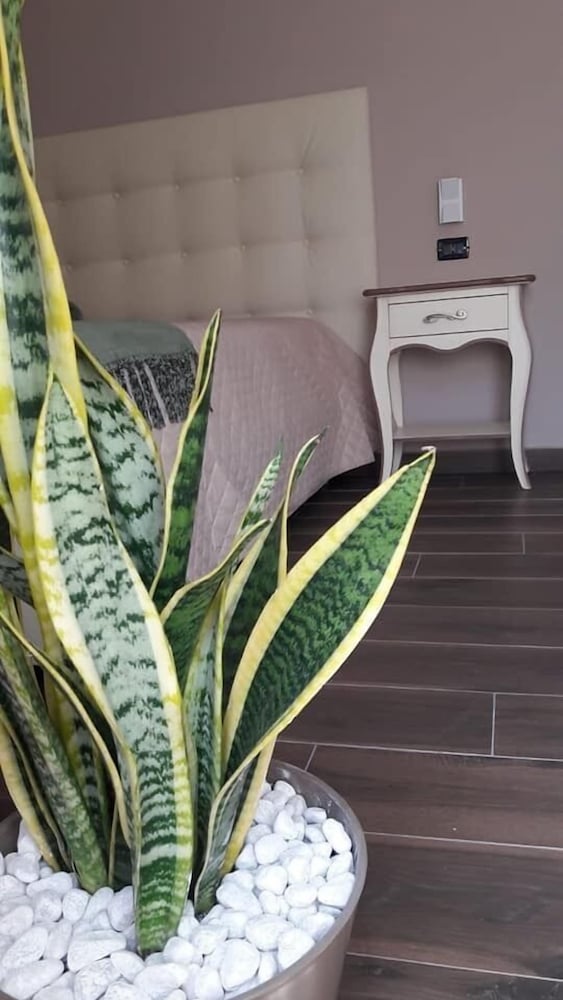 Double or Twin Room, Terrace (Carolea) photo 2