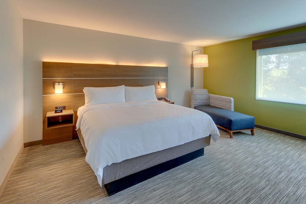 Room, 1 King Bed, Accessible (Roll-In Shower, Extra Floor Space) - Photo 6